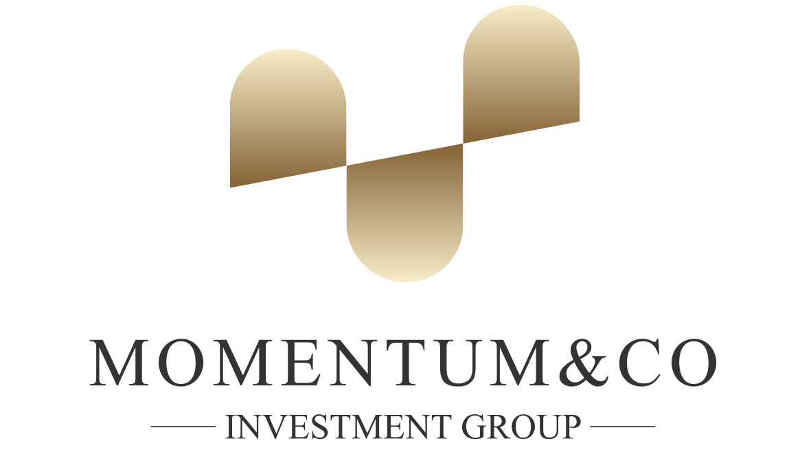 Momentum & Co Investment Group